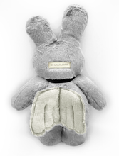 Load image into Gallery viewer, Angel Bunni Plushie
